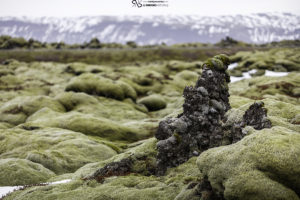 Campos de lava de Eldhraun