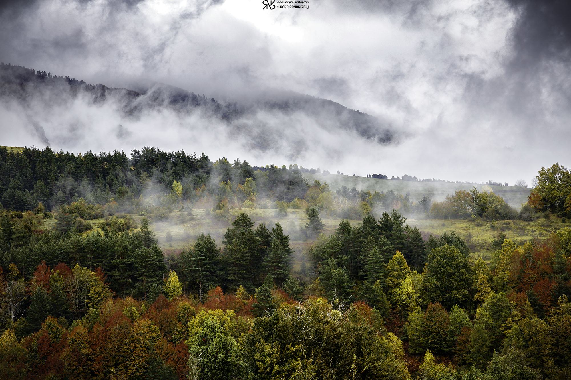 El otoño y sus hermanos