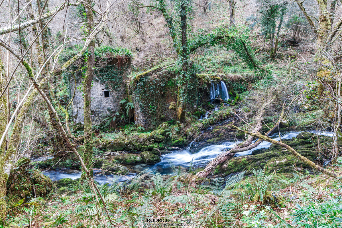 Molino antiguo - Nacimiento del río Cabra