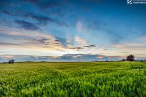 campos de castilla