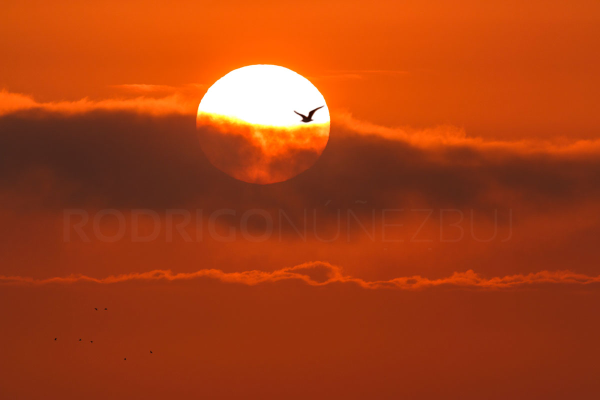 Amanecer en el Castru de las Gaviotas